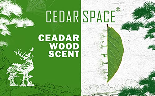 Cedar Space Cedar Blocks for Clothes Storage 16 Pcs, 2 Value Packs 100% Aromatic Red Ceder Blocks, Cedar Planks, Cedar Accessories for Closets Storage