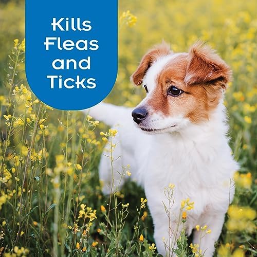 SENTRY PRO Flea and Tick Shampoo for Dogs, Rid Your Dog of Fleas, Ticks and Other Pests, Sunwashed Linen, 18 oz