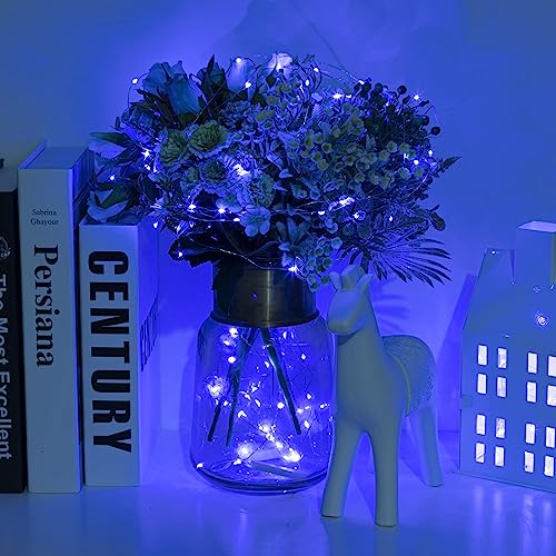 Fairy Lights 66 ft 200 LED USB Twinkle String Lights Plug in Silver Wire Lights with Remote and Timer 8 Modes Outdoor Waterproof Starry Lights DIY Party Wedding Christmas Decoration（Blue）