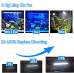 MingDak Submersible LED Aquarium Light, Fish Tank Light with Timer Auto On/Off,White & Blue LED Light bar for Fish Tank,3 Light Modes Dimmable,11W,18.5 Inch