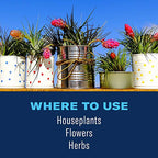 BioAdvanced Houseplant Insect & Mite Control, Ready-to-Use, 24 oz