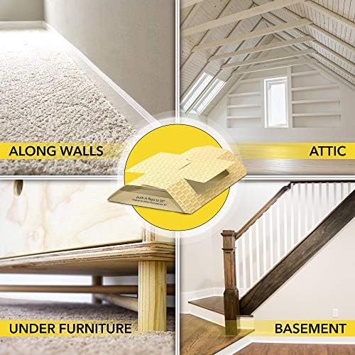 Harris Spider Glue Traps, Pesticide Free (2-Pack), Kills Brown Recluse, Hobo Spider, Black Widow and More