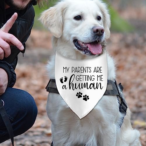 My Parents are Getting Me a Human Dog Pregnancy Announcement Bandana Pregnancy Dog Bandana for Dogs Pet Accessories for Dog Lovers Pregnancy Reveal Ideas