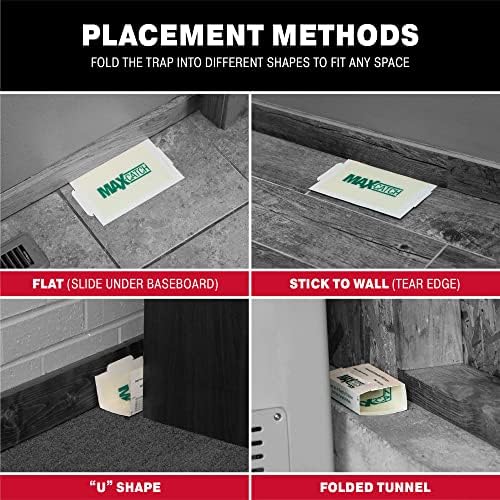 Catchmaster Max-Catch Mouse & Insect Glue Trap 36pk, Mouse Traps Indoor for Home, Sticky Pest Control Adhesive Tray for Catching Bugs, Rats & Rodents, Non Toxic Bulk Pre-Baited Glue Boards