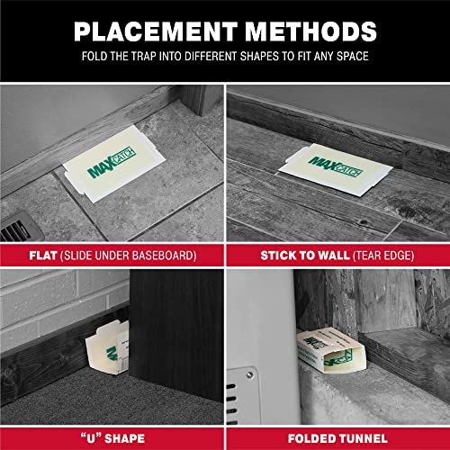 Max Catch 72 Pack Professional Strength - Mouse, Rat & Pest Glue Scented Sticky Trap for Rodents and Insects - Ready to Use Indoors - Non Toxic, No Mess, Easy Cleanup Mice Trap by Catchmaster