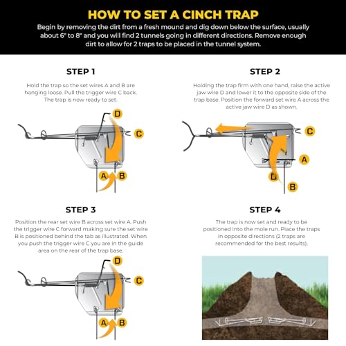 Cinch Gopher Trap - Professional-Grade Gopher Traps That Work Best, Heavy Duty, Reusable Rodent Trapping System - Ideal for Lawns, Gardens, Ranches, and More - Outdoor Use, Medium, Single Trap