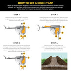 Cinch Gopher Trap - Professional-Grade Gopher Traps That Work Best, Heavy Duty, Reusable Rodent Trapping System - Ideal for Lawns, Gardens, Ranches, and More - Outdoor Use, Medium, Single Trap