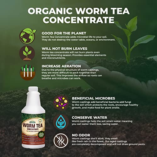 PetraTools Worm Tea for Gardening Soil - Worm Tea Fertilizer Liquid - Worm Castings, Earthworm Casting Manure Fertilizer - Earthworm Worm Castings - Worm Casting Concentrate (32 Oz)