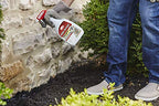 Home Defense Max Insect Killer, 24-oz.