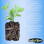 Fernwood Orchid Growing Medium and Reptile Substrate- Natural, Organic, Long Lasting | for Orchids and Other Epiphytes | Use in Terrariums and Vivariums | 10 Liters (9.1 U.S. Quarts)