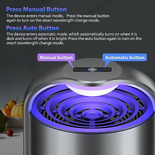 Automatic Fruit Fly Trap Indoor, Fly Traps Indoor for Home, Gnat Traps for House, Mosquito Traps, Insect Traps Indoor with 10 Sticky Glue Boards, Gray