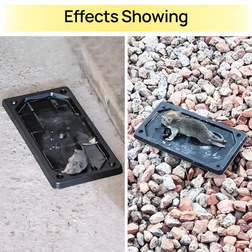 MEILEN Mouse Traps Indoor, Glue Traps for Mice and Rats, Super Heavier Rat Traps Large Size Pre-Scented Strengthen Sticky Mouse Traps for Home Safe for Children & Pets-12Packs