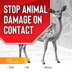 Deer Stopper Quart Concentrate