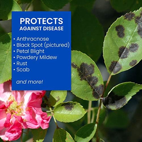 BioAdvanced 708285A 3-in-1 Disease and Mite, Concentrate, 32 oz pest-Controlling-Insects