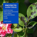 BioAdvanced 708285A 3-in-1 Disease and Mite, Concentrate, 32 oz pest-Controlling-Insects