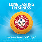 Arm & Hammer 10-Pack Odor Busterz Deodorizing Balls, 10 Count
