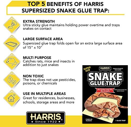 Harris Snake Glue Trap, Super Sized for Snakes, Rats, Mice and Insects (1-Pack)