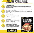 Harris Snake Glue Trap, Super Sized for Snakes, Rats, Mice and Insects (1-Pack)