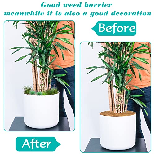ZeeDix 10 Pcs Coconut Fibers Mulch Ring Tree Protector Mat, 14 Inch Coco Coir Tree Protection, Tree Ring Mats Tree Disc Plant Cover for Indoor or Outdoor