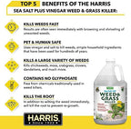 Harris 10X Sea Salt & Vinegar Weed and Grass Killer, Pet Safe, Kills to The Root with Spray Trigger, 128oz