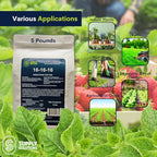 Supply Solutions 16-16-16 Complete Lawn & Garden All Purpose Granular Fertilizer - The Ultimate Plant Food for Lush Greenery & Vibrant Blooms - for All Plants, Vegetables, Fruits, and Berries - 5lbs