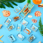 12 Pcs Insect in Resin Specimen Bugs Collection Arachnid Resin Paperweights Different Insect Specimen Bug for Kids Scientific Educational Toy, 12 Styles(Ocean Theme)