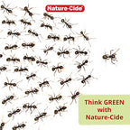 Nature-Cide All Purpose Insecticide. All Natural Roach Killer, Spider, Mosquito and Ant Spray to Keep Your Home Safe. Kills on Contact. No Strong Odor. 32 oz