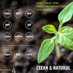UpNourish Plant-Based Protein Meal Replacement Shake! Keto, Vegan-Friendly Lifestyles. Gluten & Dairy-Free Smoothie with Essential Vitamins, Minerals, and Low Carbs - Peanut Butter, 15 Servings