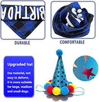Dog Birthday Party Supplies, Dog Birthday Decorations Boy, Lets Pawty Balloons Banner, Dog Birthday Bandana, Dog Birthday Boy Hat Scarfs
