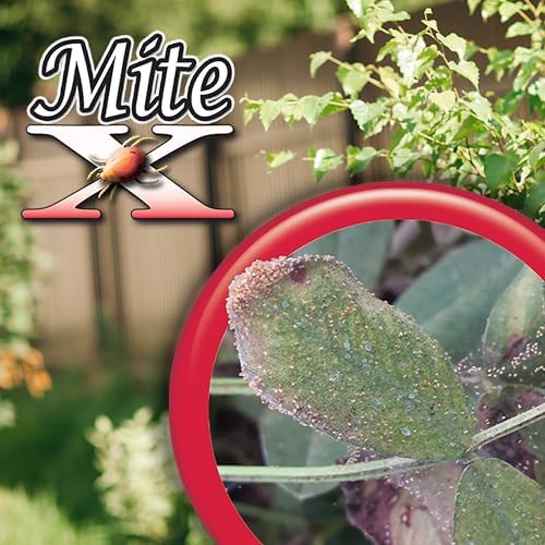 Bonide Mite-X Insecticide and Miticide, 32 oz Ready-to-Use Spray Botanical Extracts Control Mites, Thrips and Aphids in Garden