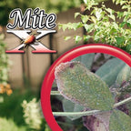 Bonide Mite-X Insecticide and Miticide, 32 oz Ready-to-Use Spray Botanical Extracts Control Mites, Thrips and Aphids in Garden