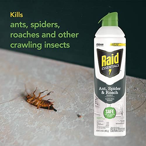 Raid Essentials Ant Spider, and Roach Killer Aerosol Spray, Child & Pet Safe, Kills Insects Quickly, for Indoor Use, 10 oz (Pack of 3)