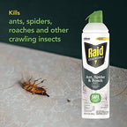 Raid Essentials Ant Spider, and Roach Killer Aerosol Spray, Child & Pet Safe, Kills Insects Quickly, for Indoor Use, 10 oz (Pack of 3)