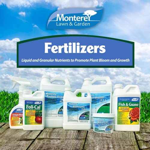 Monterey Fish & Guano Liquid Plant Fertilizer for Transplants and Flowers, Quart Concentrate - Apply Using a Sprayer Following Mix Instructions