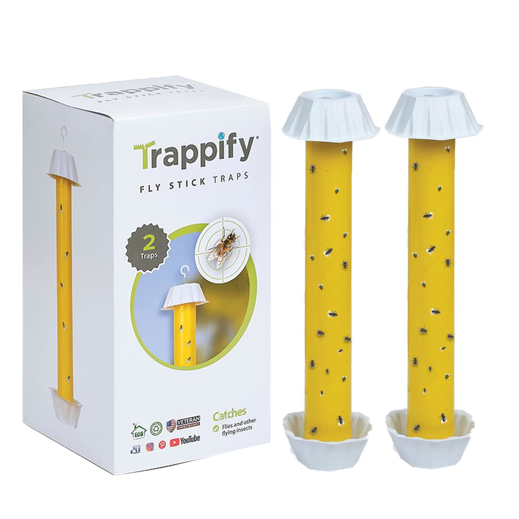 Trappify Hanging Fly Traps Outdoor: Fruit Fly Traps for Indoors | Fly Catcher, Gnat, Mosquito, & Flying Insect Catchers for Inside Home - Disposable Sticky Fly Trap for Indoor House Pest Control