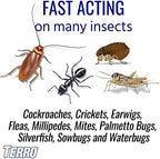 TERRO T901SR Ant Killer Plus Multi-Purpose Insect Control for Outdoors - Kills Fire Ants, Fleas, Cockroaches, and Other Crawling Insects - 2 Pack, Granule