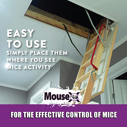 MouseX Throw Packs- For All Species Of Rats Mice Safe Around Pets