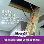 MouseX Throw Packs- For All Species Of Rats Mice Safe Around Pets