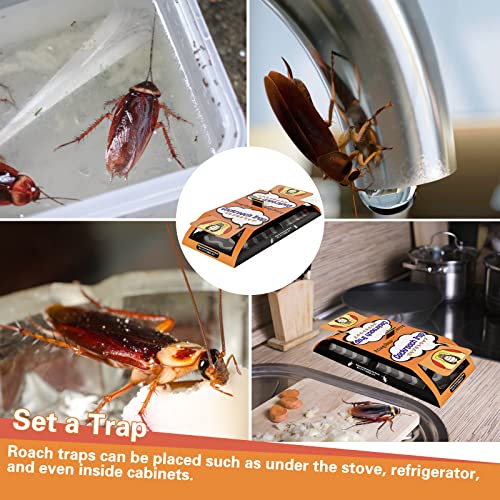 24 Pack Roach Killer Indoor Infestation, Cockroach Killer Indoor Home, Roach Traps Indoor Sticky, Roach Bait Cockroach Trap for Roach Ants Spiders Orange