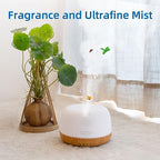 ASAKUKI Essential Oil Diffuser, Ultrasonic Aromatherapy Oil Humidifier with 7 Colors Lights 2 Mist Mode for Home
