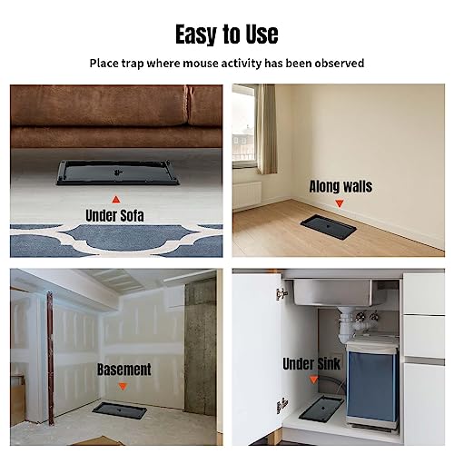 POPTRAP Rat Trap Heavy Duty & Large - 24 Pack, Super Sticky Mouse Trap with Ultra-Strong Glue, Mouse Glue Trap with Scent of Peanut Butter for Indoor & Outdoor, Non-Toxic & Long-Lasting