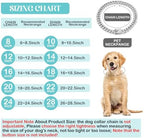 Tallew Dog Chain Diamond Collar Walking Metal Chain Necklace with Secure Buckle Pet Cuban Style Collar Jewelry Accessories for Small Medium Large Dog Cats(22 Inch,Silver)