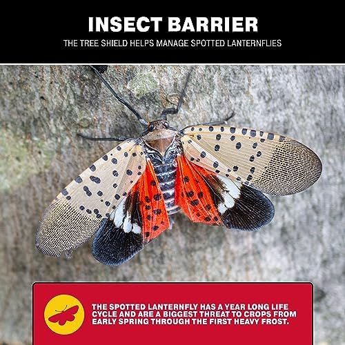 Catchmaster Tree Shield Lantern Fly & Ant Traps Insect Barrier, 4 Rolls 30ft Each, Outdoor Adhesive Crawling Insect Trap, Glue Traps to Protect Trees, Fruit & Plants, Pest Control Lawn & Garden