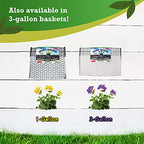 Digger’s 1-Gallon Heavy-Duty Wire Basket - Gopher Wire Basket for Perennials & Vegetables (12 Baskets)