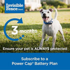 Invisible Fence Power Cap Battery (1 Pack) Electric Fence Battery Replacement Original IFB Product, Electric Collar for Dogs