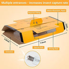 24 Pack Roach Traps Indoor, Roach Killer Indoor Infestation Glue Traps for Roaches, Cockroach Killer Indoor Home for Bugs