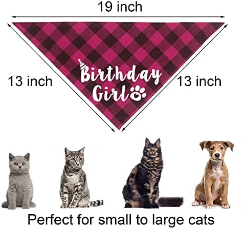 Cat Birthday Party Pack - Outfits, Bandana, Hat, Crown, Bow Tie, Number Banner, Meow & Cat Balloons for Kitten's Special Day