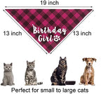 Cat Birthday Party Pack - Outfits, Bandana, Hat, Crown, Bow Tie, Number Banner, Meow & Cat Balloons for Kitten's Special Day