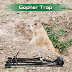 Qualirey 8 Pcs Outdoor Gopher Trap Easy Set Mole Trap Weather Resistant Gopher Killer Vole Trap for Lawn Garden Farm (Black)