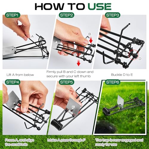 Qualirey 8 Pcs Outdoor Gopher Trap Easy Set Mole Trap Weather Resistant Gopher Killer Vole Trap for Lawn Garden Farm (Black)
